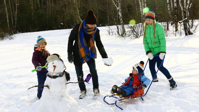 Winter mountain retreats